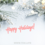 国際結婚＆海外結婚相談所TJM年末年始のお知らせ